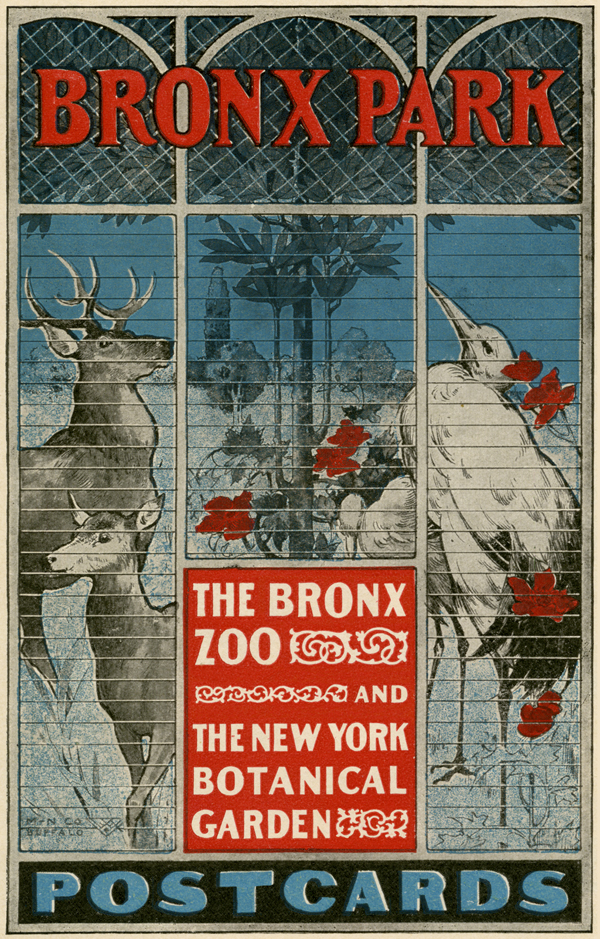 Bronx Park - The Bronx —