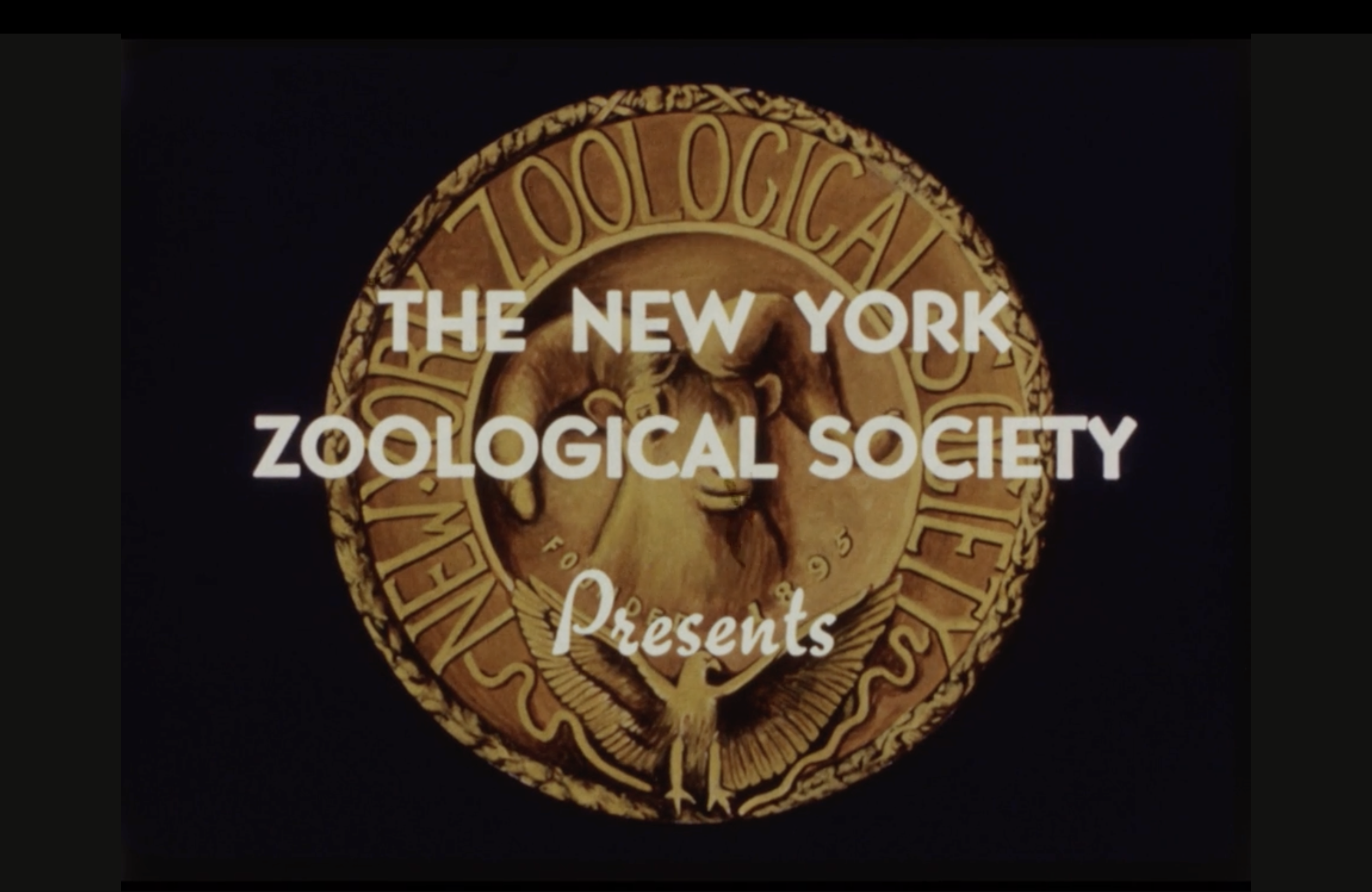 The New York Zoological Society Presents film title card